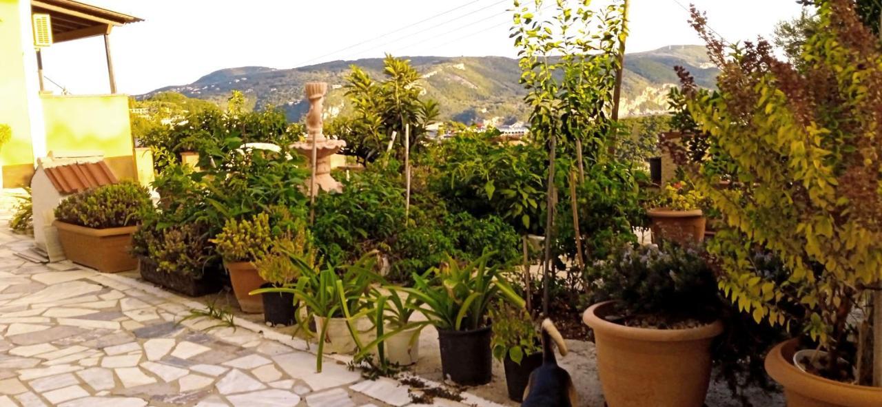 Vassilis Apartments Palaiokastritsa Esterno foto